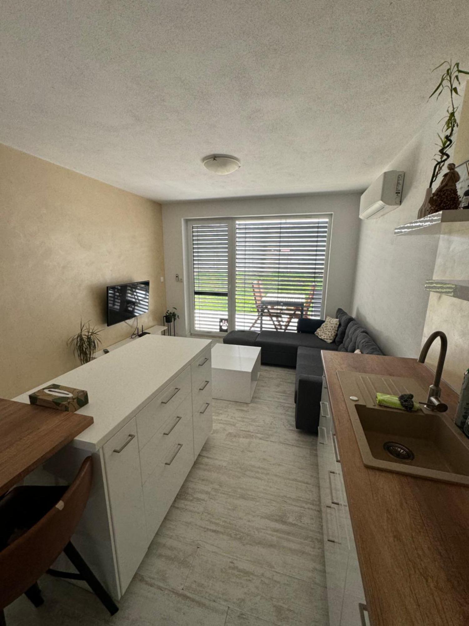 Sunny Apartment On The Lakes セネツ エクステリア 写真